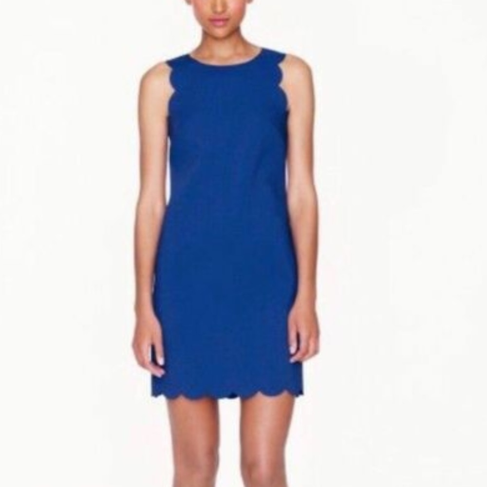 J. Crew Royal Blue Scalloped ShiftSleeveless Dress